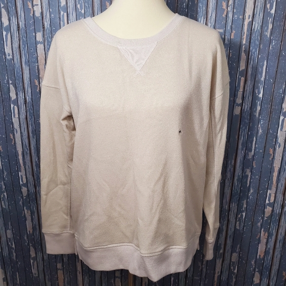 American Eagle Outfitters Tops - AE Shine Sweatshirt Oatmeal color